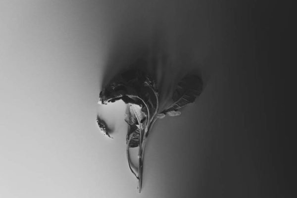 Tagore’s The Living and the Dead: A Psychoanalytic Study