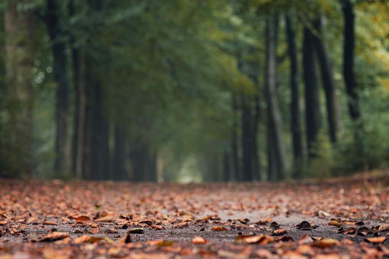 odes by john keats