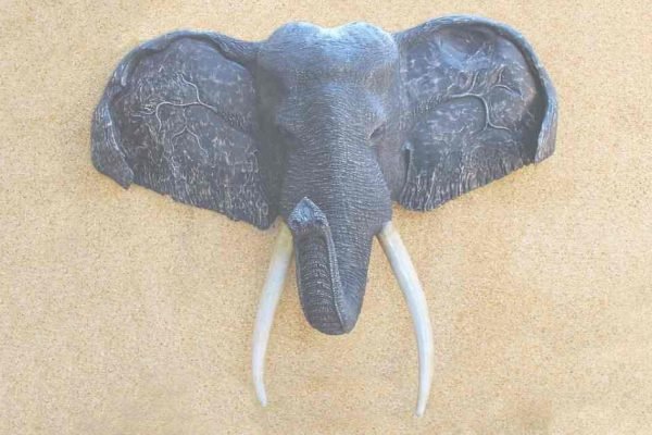 Shooting An Elephant: Orwell and Imperialism