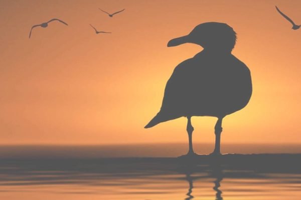 Sailing to Byzantium: 6 Prominent Symbols