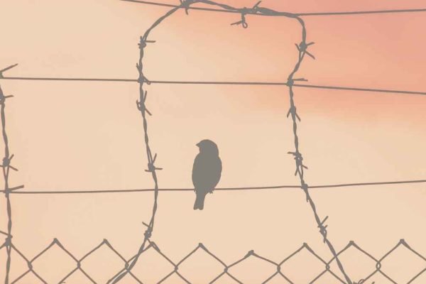 Narrative Structure in Toni Morrison’s Beloved